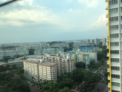 Blk 310A Ang Mo Kio Avenue 1 (Ang Mo Kio), HDB 5 Rooms #177698732